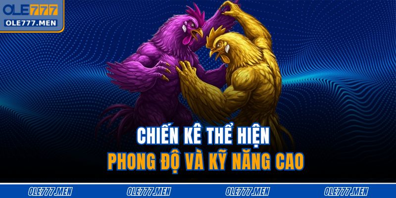 Chiến kê thể hiện phong độ và kỹ năng cao