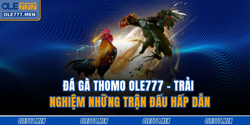 Đá gà thomo OLE777