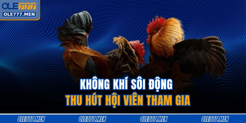 Không khí sôi động thu hút hội viên tham gia