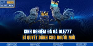 Kinh nghiệm đá gà