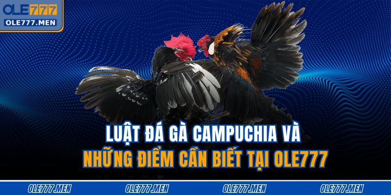 luật đá gà Campuchia