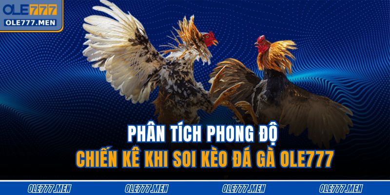 Phân tích phong độ chiến kê khi soi kèo đá gà OLE777