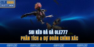 Soi kèo đá gà OLE777