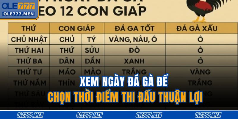 Xem ngày đá gà để chọn thời điểm thi đấu thuận lợi